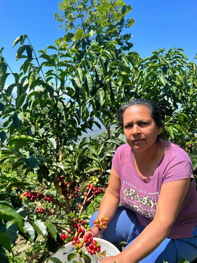 María Nieves Tantalean | Farm Blend