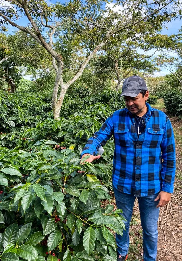 Finca Siquem